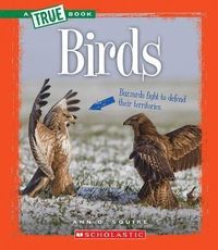 Produktbild: Birds