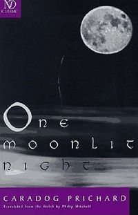 Produktbild: One Moonlit Night