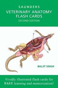 Produktbild: Veterinary Anatomy Flash Cards
