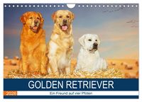 Produktbild: Golden Retriever - Ein Freund auf vier Pfoten (Wandkalender 2026 DIN A4 quer), CALVENDO Monatskalender