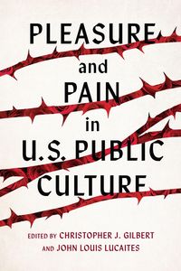 Produktbild: Pleasure and Pain in Us Public Culture