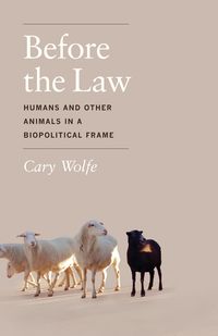 Produktbild: Before the Law