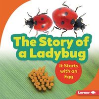 Produktbild: The Story of a Ladybug