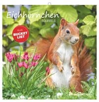 Produktbild: Eichh&ouml;rnchen 2027