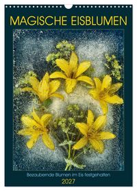 Produktbild: Magische Eisblumen (Wandkalender 2027 DIN A3 hoch), CALVENDO Monatskalender