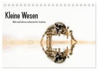 Produktbild: Kleine Wesen &ndash; Makroaufnahmen von einheimischen Insekten (Tischkalender 2026 DIN A5 quer), CALVENDO Monatskalender