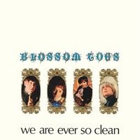 Bild vom Artikel We are ever so clean, 1 Schallplatte (Remastered Vinyl Edition) vom Autor Blossom Toes