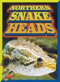 Produktbild: Northern Snakeheads