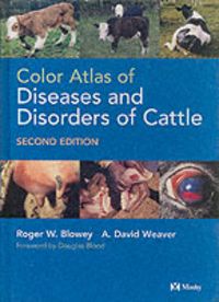 Produktbild: Color Atlas of Diseases and Disorders of Cattle