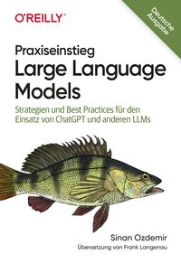 Produktbild: Praxiseinstieg Large Language Models