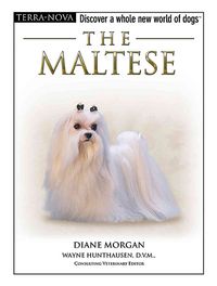 Produktbild: Maltese