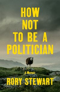 Produktbild: How Not to Be a Politician