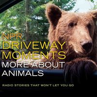 Produktbild: Npr Driveway Moments More a 2d