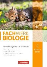Produktbild: Fachwerk Biologie - Realschule Bayern - 5. Jahrgangsstufe