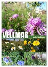 Produktbild: Vellmar meine Feldblumen (Wandkalender 2027 DIN A3 hoch), CALVENDO Monatskalender