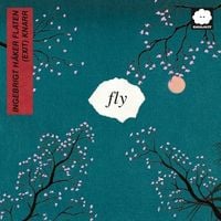 Produktbild: fly