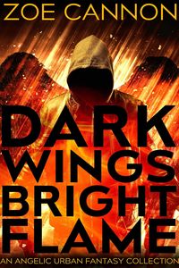 Produktbild: Dark Wings, Bright Flame