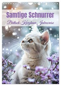Produktbild: Samtige Schnurrer (Wandkalender 2026 DIN A4 hoch), CALVENDO Monatskalender