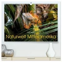 Produktbild: Naturwelt Mittelamerika (hochwertiger Premium Wandkalender 2027 DIN A2 quer), Kunstdruck in Hochglanz