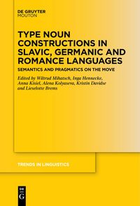 Produktbild: Type Noun Constructions in Slavic, Germanic and Romance Languages