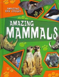 Produktbild: Amazing Life Cycles Set