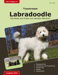 Produktbild: Traumrasse: Labradoodle