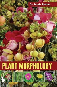 Produktbild: Plant Morphology