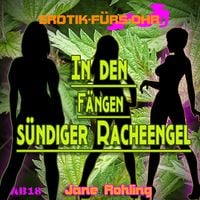 Produktbild: Erotik f&uuml;r's Ohr, In den F&auml;ngen s&uuml;ndiger Racheengel
