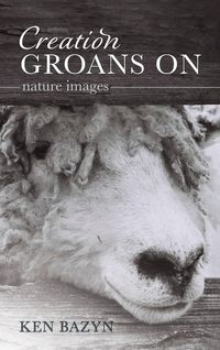 Produktbild: Creation Groans On