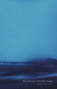 Produktbild: Marshland