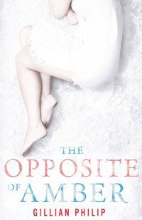 Produktbild: The Opposite of Amber