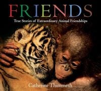 Produktbild: Friends