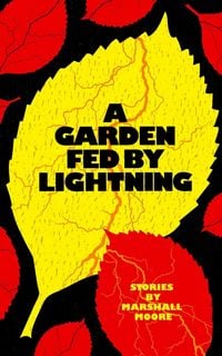 Produktbild: A Garden Fed by Lightning