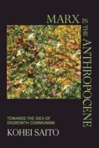 Produktbild: Marx in the Anthropocene
