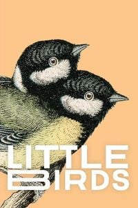 Produktbild: Little Birds