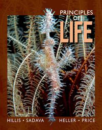 Produktbild: Principles Of Life Green/e