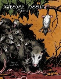 Produktbild: Awesome 'Possum, Volume 3