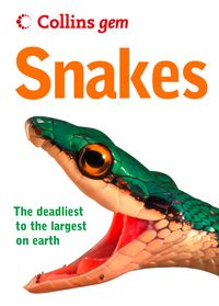 Produktbild: Snakes