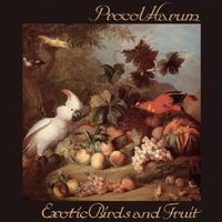 Produktbild: Exotic Birds and Fruit: 3CD Digipak Edition