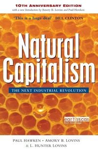 Produktbild: Natural Capitalism