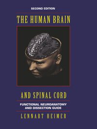 Produktbild: The Human Brain and Spinal Cord