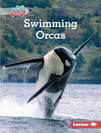 Produktbild: Swimming Orcas