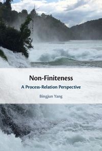 Produktbild: Non-Finiteness