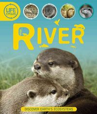 Produktbild: Life Cycles River