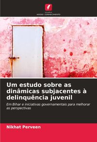 Produktbild: Um estudo sobre as din&acirc;micas subjacentes &agrave; delinqu&ecirc;ncia juvenil