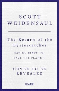 Produktbild: Weidensaul, S: Return of the Oystercatcher