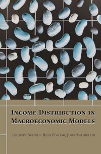 Produktbild: Income Distribution in Macroeconomic Models