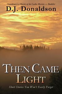 Produktbild: Then Came Light