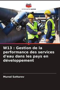 Produktbild: W13 : Gestion de la performance des services d'eau dans les pays en d&eacute;veloppement