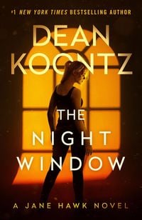 Produktbild: The Night Window